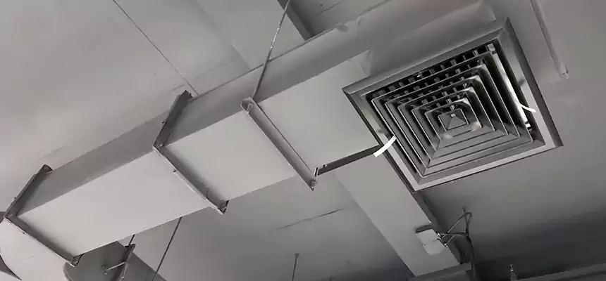 Restorative Allergy Relief Vent Cleaning – Coil, Blower & Housing Detail in Haslett