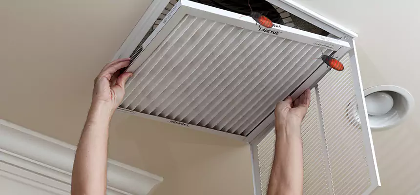 Our Insect Removal from Air Ducts Services in Haslett, MI
