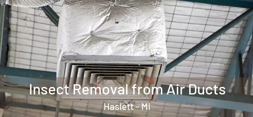 Insect Removal from Air Ducts Haslett - MI