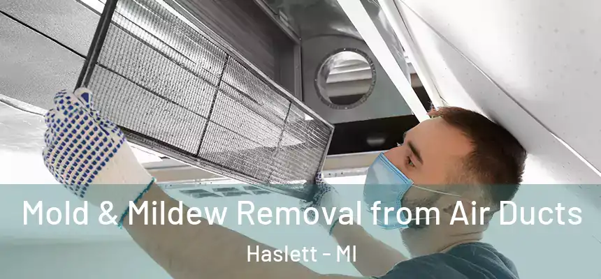  Mold & Mildew Removal from Air Ducts Haslett - MI