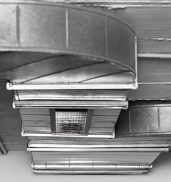 Professional Air Duct Pet Hair Removal in Haslett, MI