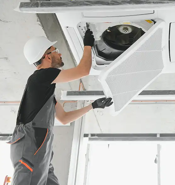 About Air Duct Rodent Removal in Haslett, MI