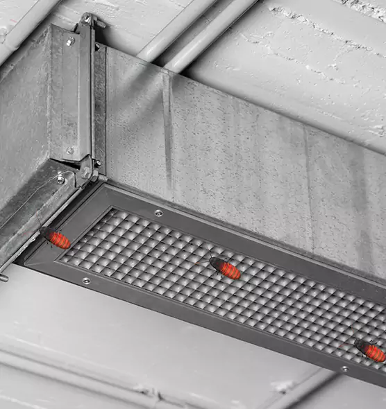 Affordable Insect Removal from Air Ducts in Haslett, MI