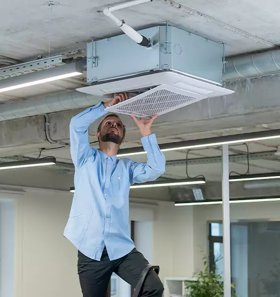 Advanced Rodent Droppings In Vents in Haslett, MI