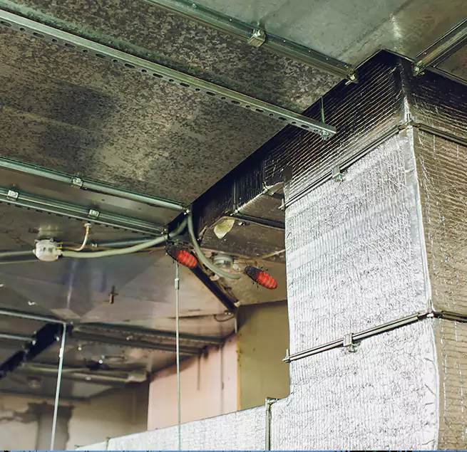 Why Homeowners & Businesses Trust Us in Haslett, MI?