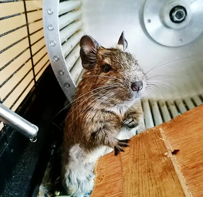 Why Homeowners & Businesses Trust Us Haslett, MI?