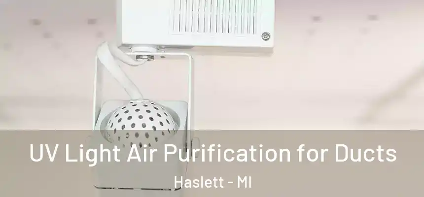  UV Light Air Purification for Ducts Haslett - MI
